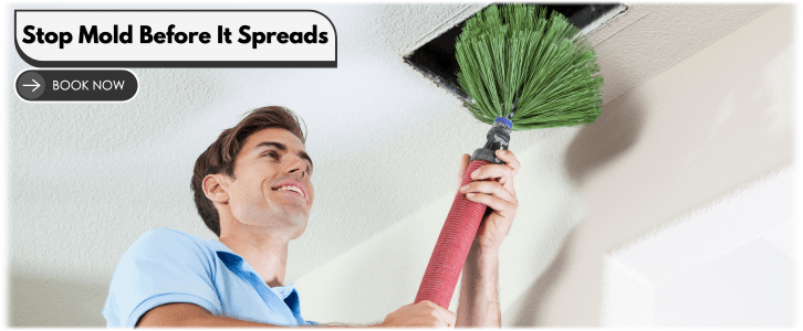 Air Duct Mold Removal in Tucker GA