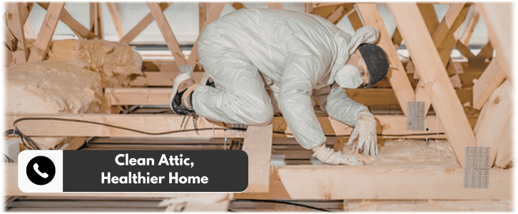 Attic Cleaning Tucker GA